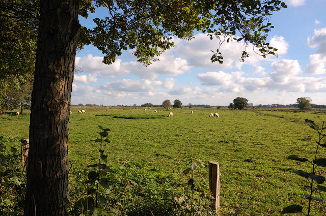 262-20101017141811aa.jpg - Varel Oktober 2010