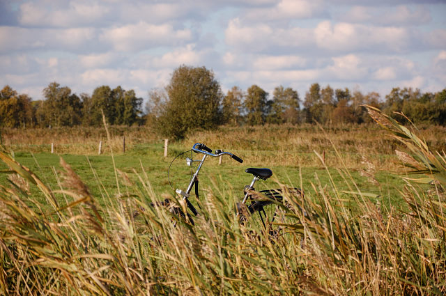 264-20101017142430aa.jpg - Varel Oktober 2010