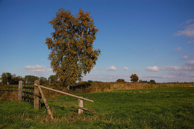 289-20101017145613aa.jpg - Varel Oktober 2010