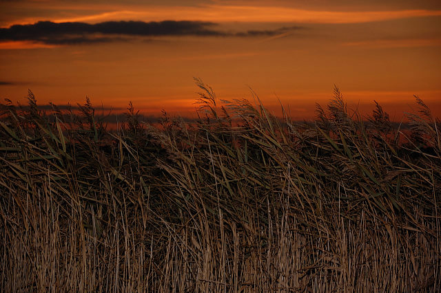 346-20101017184513aa.jpg - Varel Oktober 2010x