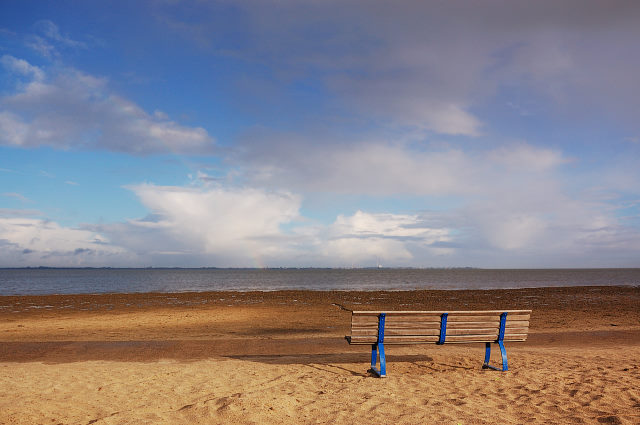 355-20101019102836aa.jpg - Varel Oktober 2010