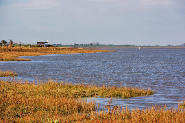 359-20101019104757a.jpg - Varel Oktober 2010